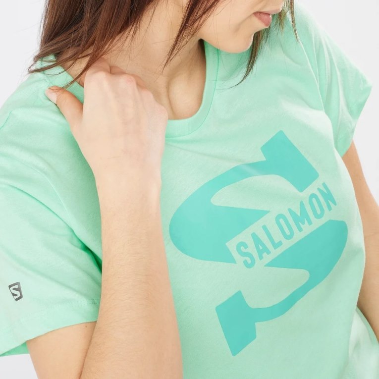 Salomon Outlife Big Logo Short Sleeve Women's T-Shirts Mint | CA 15N37